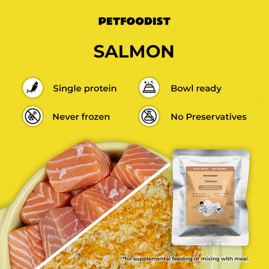 Salmon 120 gr