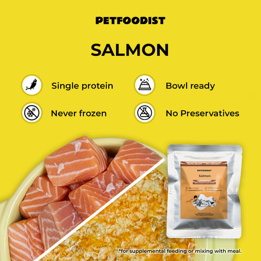 Salmon 120 gr