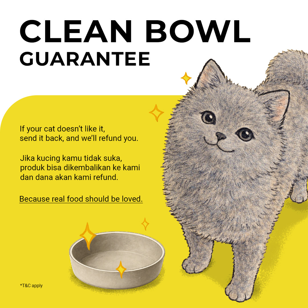 Barramundi Stew 150 gr