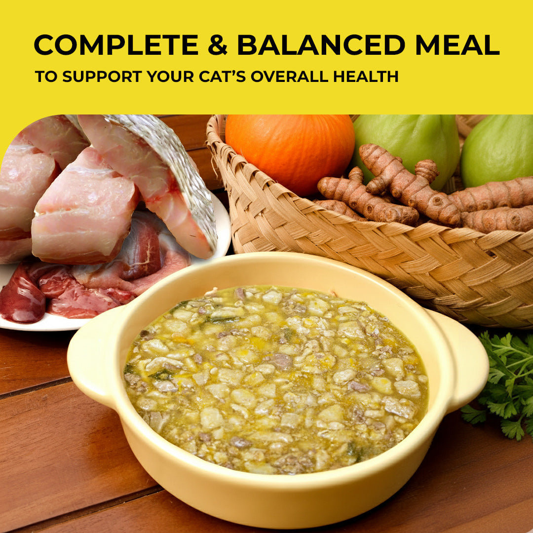 Barramundi Stew 150 gr