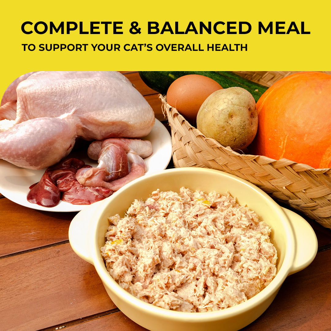 Cage Free Chicken Stew 150 gr