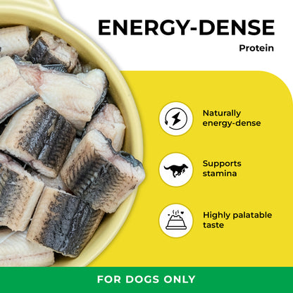 Eel/Unagi 120 gr