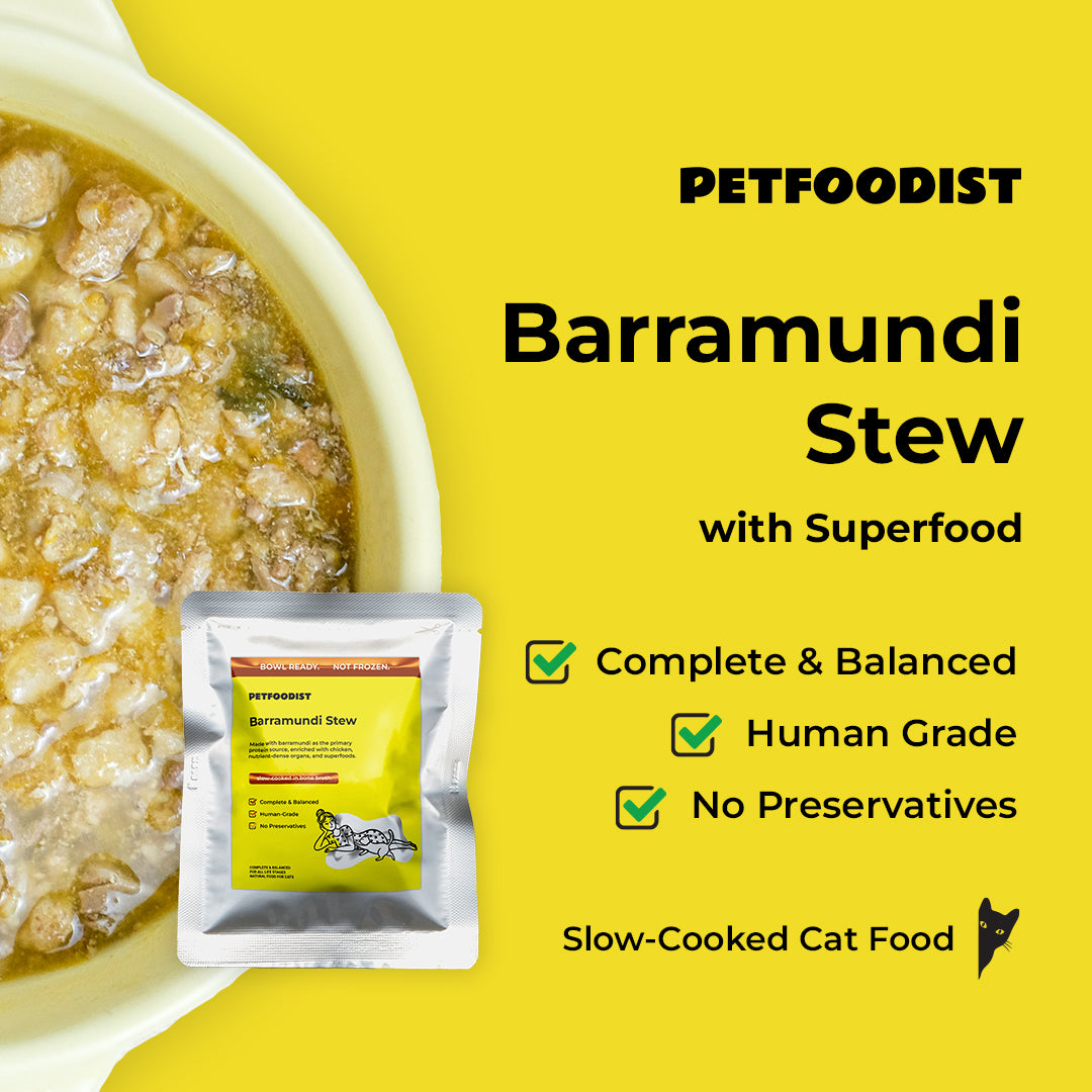 Barramundi Stew 150 gr